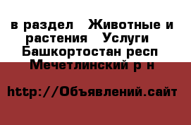  в раздел : Животные и растения » Услуги . Башкортостан респ.,Мечетлинский р-н